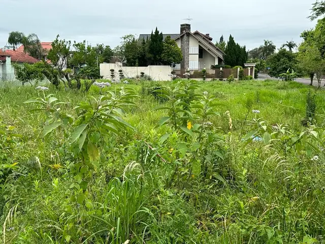 TERRENO TOP NO CENTRO DE CAMPO BOM – OPORTUNIDADE PARA CONSTRUTORAS!
